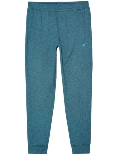 Kalhoty 4F M 4FWAW24TFTRM682 46M