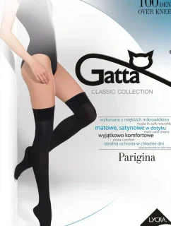 PARIGINA 100 - Hladké nadkolenky 100 DEN