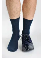 Pánské ponožky Regina Socks Frote Bambus