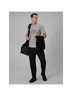 Pánské tričko s potiskem 4F 4FRSS26TTSHM3989-10S