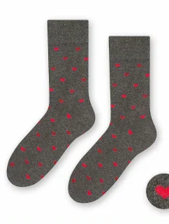 Pánské ponožky 136 084 - Steven