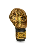 B-2v23 boxerské rukavice 10 oz