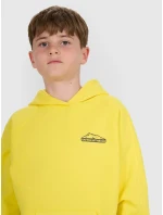 Chlapecká mikina 4F Chlapecká mikina 4F