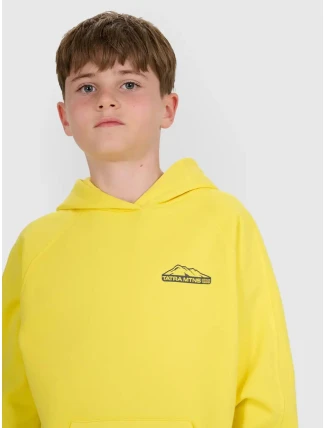 Chlapecká mikina 4F Chlapecká mikina 4F