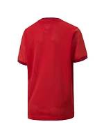 Puma teamGOAL 23 Jersey Jr 704160 01 tričko