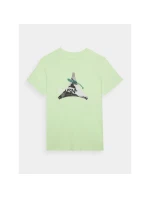 Pánské tričko s potiskem 4F 4FRAW24TTSHM2301-41S pánské