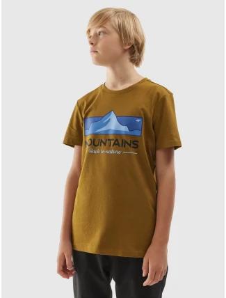 Chlapecké bavlněné tričko Chlapecké bavlněné tričko