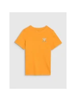 Chlapecké tričko s potiskem 4F 4FJRSS25TTSHM2642-70S