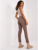 Tepláky RV DR 7517.22 hnědá Tepláky RV DR 7517.22 hnědá