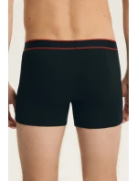 PÁNSKÉ ŠORTKY BEE 2PAK LONG 44556 SS26