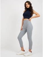 Tepláky RV DR 7731.19 šedé