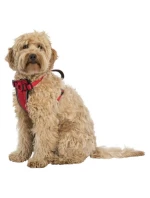 Špičkový postroj pro psy Trespass Tanked Špičkový postroj pro psy Trespass Tanked