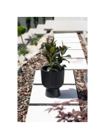 MILLY KVĚTINOVÉ JEZÍRKO NA PODSTAVCI 30 CM SVĚTLE ŠEDÉ BARVY