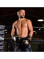 Boxerské rukavice 10oz - Aureos - Valor Series