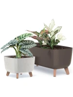 GRACIA CASE ECO WOOD 39x19,5CM KÁVOVÁ MÍSA