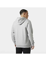 Helly Hansen pánská mikina s kapucí HH LOGO HOODIE 54582 949 pánské