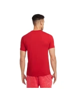 Tričko Nike Liverpool FC M HJ4268-687 pánské