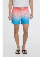 Pánské plavecké šortky SAM73 Dino Pánské plavecké šortky SAM73 Dino