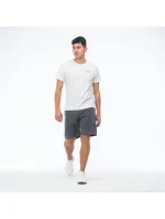 Pánské šortky CARSTEN