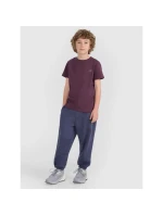 Dětské hladké tričko (SADA 2) 4F 4FJRAW25TTSHU3157-92S