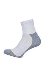 Pánské ponožky ACTIVE 0224.008