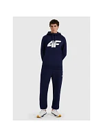 Pánské tepláky typu jogger 4F 4FRMM00TTROM1625-31S