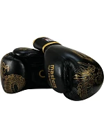 Boxerské rukavice RBT-DRAGON 12 oz Boxerské rukavice RBT-DRAGON 12 oz