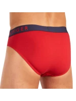 Tommy Hilfiger Slipy M UM0UM01227 slipy
