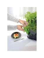 VERYKAL GARDEN CASCADE POND for herbs - WHITE Dětské