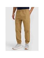 Pánské tepláky typu jogger 4F 4FRMM00TTROM1627-83S