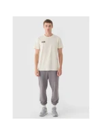 Pánské hladké tričko 4F 4FRAW24TTSHM2602-83S