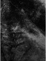 Dámská zimní bunda v karamelové barvě s kožešinovou podšívkou (V715)