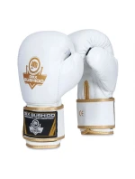 Boxerské rukavice 10oz - Spirit - Valor Series