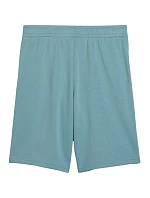 Dětské šortky Puma ESS Small No.1 Logo, modré, 692974, velikost 47