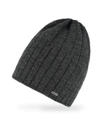 Pánská čepice AJS 50-280 Pánská čepice AJS 50-280