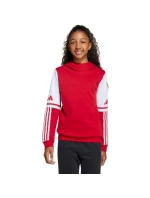 Adidas Squadra 25 Sweat Hoody Jr JD4805 Mikina