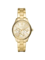 Dámské hodinky FOSSIL Rye BQ3692+ BOX Dámské hodinky FOSSIL Rye BQ3692+ BOX