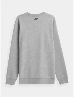 Pánská bavlněná mikina 4F