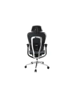 Vybavení: Ergonomická kancelářská židle + Podhlavníky/područky modré/lehké Maloobchodní prodej Vybavení: Ergonomická kancelářská židle + Podhlavníky/područky modré/lehké Maloobchodní prodej