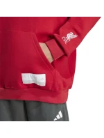 Adidas Liverpool FC Hoody Junior mikina JW7879
