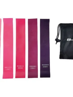 Fitnnes Crosfit mini Band 5v1 EB FIT 1028859