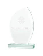 Skleněná 3D gravírovaná trofej s pouzdrem