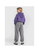 Chlapecké tepláky joggers 4F 4FJRAW25TTROM1528-24S