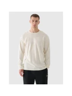 Pánské tričko oversize s potiskem a dlouhým rukávem 4F 4FRAW24TLONM507-83S