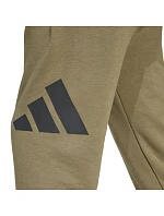 Kalhoty adidas Essentials Big Logo French Terry M JE8970