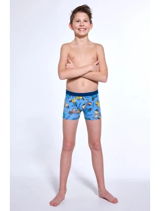 CHLAPECKÉ BOXERKY YOUNG 700 W/25