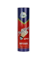 Badmintonový raketoplán 6 ks Techman BS203