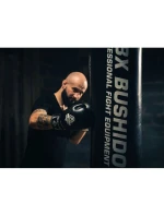 Boxerské rukavice 10oz - Classic White - Origin Series Boxerské rukavice 10oz - Classic White - Origin Series