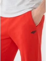 Pánské tepláky 4F