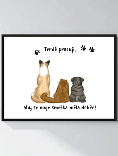 Personalizovaný magický fotoobraz v rámu - 30x40 - ilustrace mazlíčků